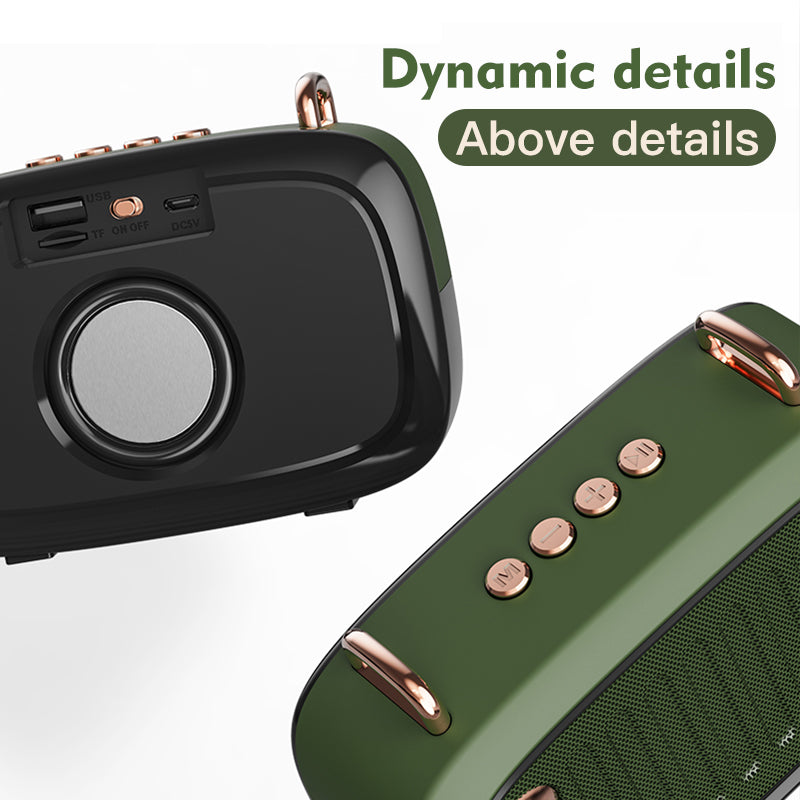 Portable Mini Outdoor Speaker with Subwoofer And Card Support